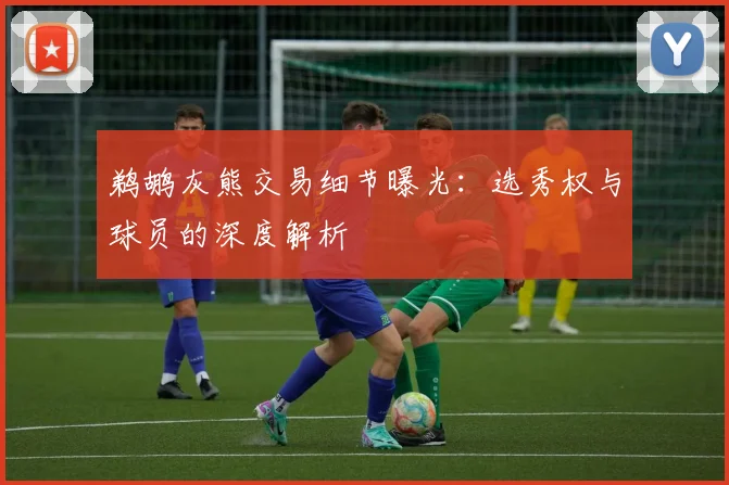 鹈鹕灰熊交易细节曝光:选秀权与球员的深度解析